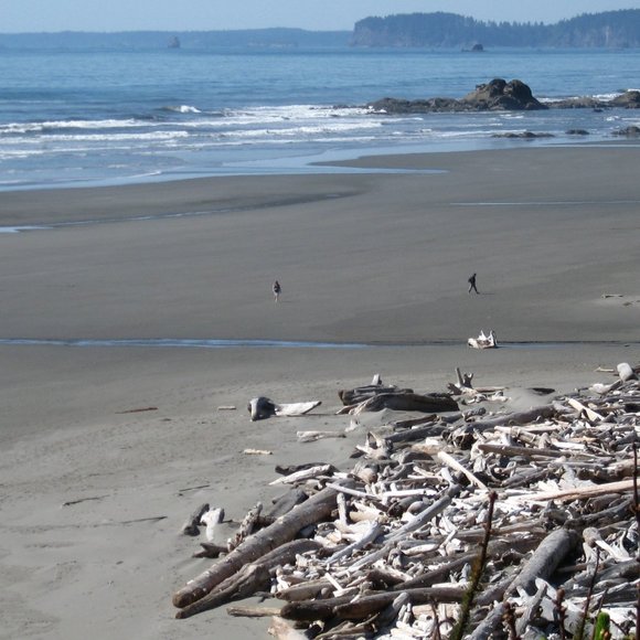 Meet your Posher, Sheree - Picture 4 of 9